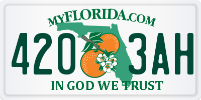 FL license plate 4203AH