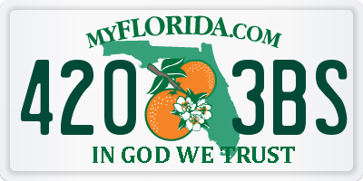 FL license plate 4203BS