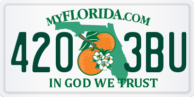 FL license plate 4203BU