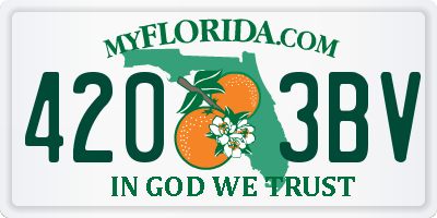 FL license plate 4203BV