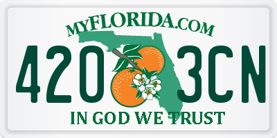 FL license plate 4203CN