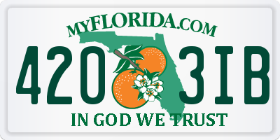 FL license plate 4203IB