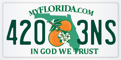 FL license plate 4203NS