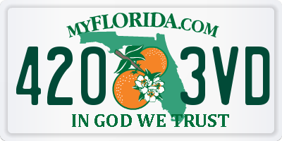 FL license plate 4203VD
