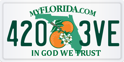 FL license plate 4203VE