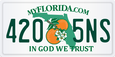 FL license plate 4205NS