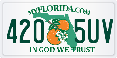 FL license plate 4205UV