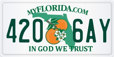 FL license plate 4206AY