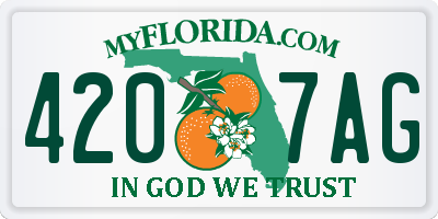 FL license plate 4207AG