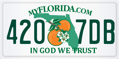 FL license plate 4207DB
