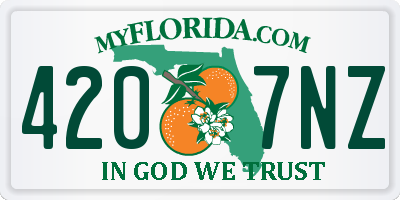 FL license plate 4207NZ