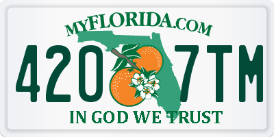 FL license plate 4207TM