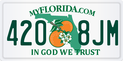 FL license plate 4208JM