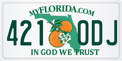 FL license plate 4210DJ