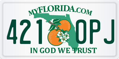 FL license plate 4210PJ