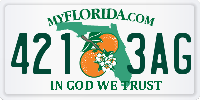 FL license plate 4213AG