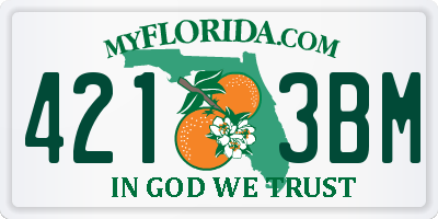 FL license plate 4213BM