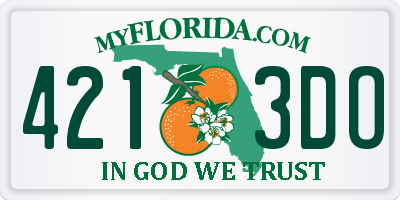 FL license plate 4213DO