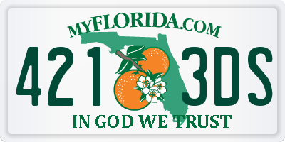 FL license plate 4213DS