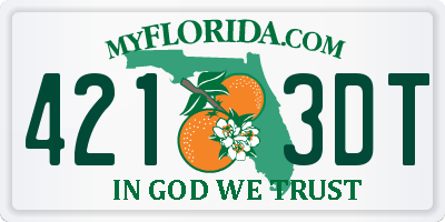 FL license plate 4213DT