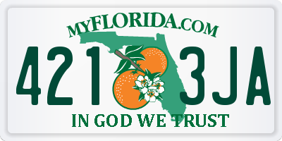 FL license plate 4213JA