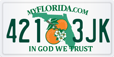FL license plate 4213JK