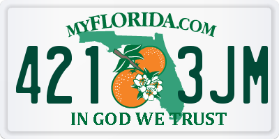FL license plate 4213JM