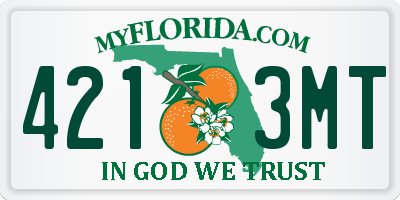 FL license plate 4213MT