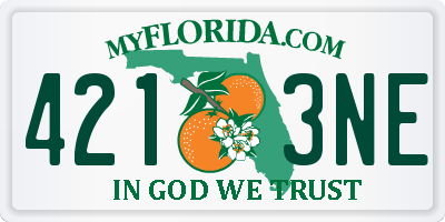 FL license plate 4213NE