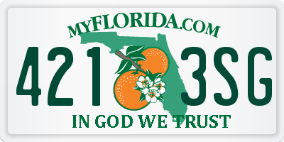 FL license plate 4213SG