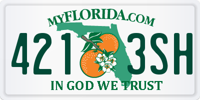 FL license plate 4213SH