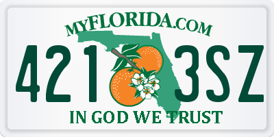 FL license plate 4213SZ