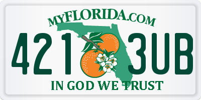 FL license plate 4213UB