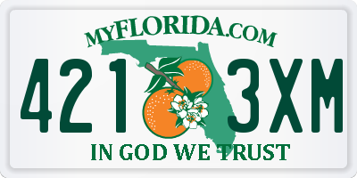 FL license plate 4213XM