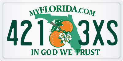 FL license plate 4213XS