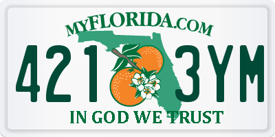 FL license plate 4213YM