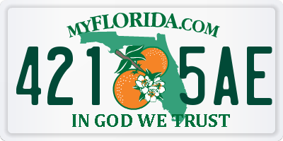 FL license plate 4215AE