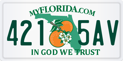 FL license plate 4215AV