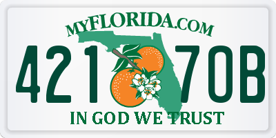 FL license plate 4217OB