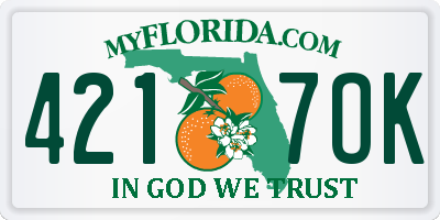 FL license plate 4217OK