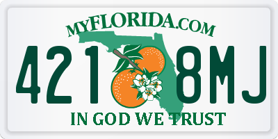 FL license plate 4218MJ
