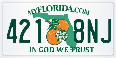 FL license plate 4218NJ