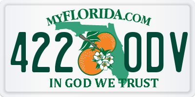 FL license plate 4220DV