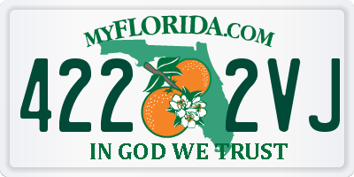 FL license plate 4222VJ