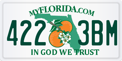 FL license plate 4223BM