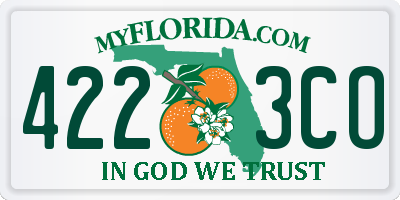 FL license plate 4223CO