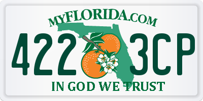 FL license plate 4223CP