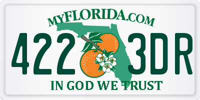 FL license plate 4223DR