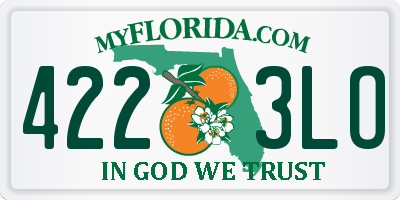 FL license plate 4223LO