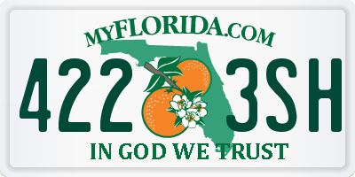 FL license plate 4223SH